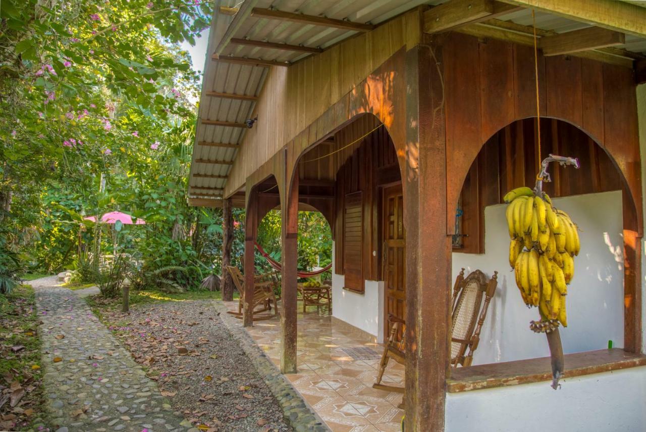 Cabinas Iguana Cahuita Exteriör bild